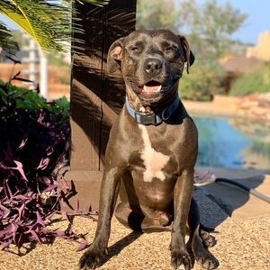 Meet your Posher, Mark